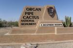 Eingang
            Organ Pipe Cactus National Monument