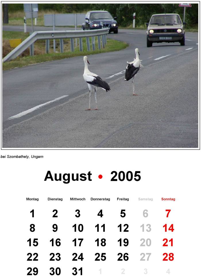 Titel 2005