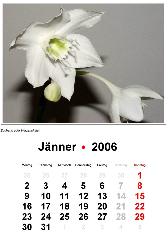Titel 2005